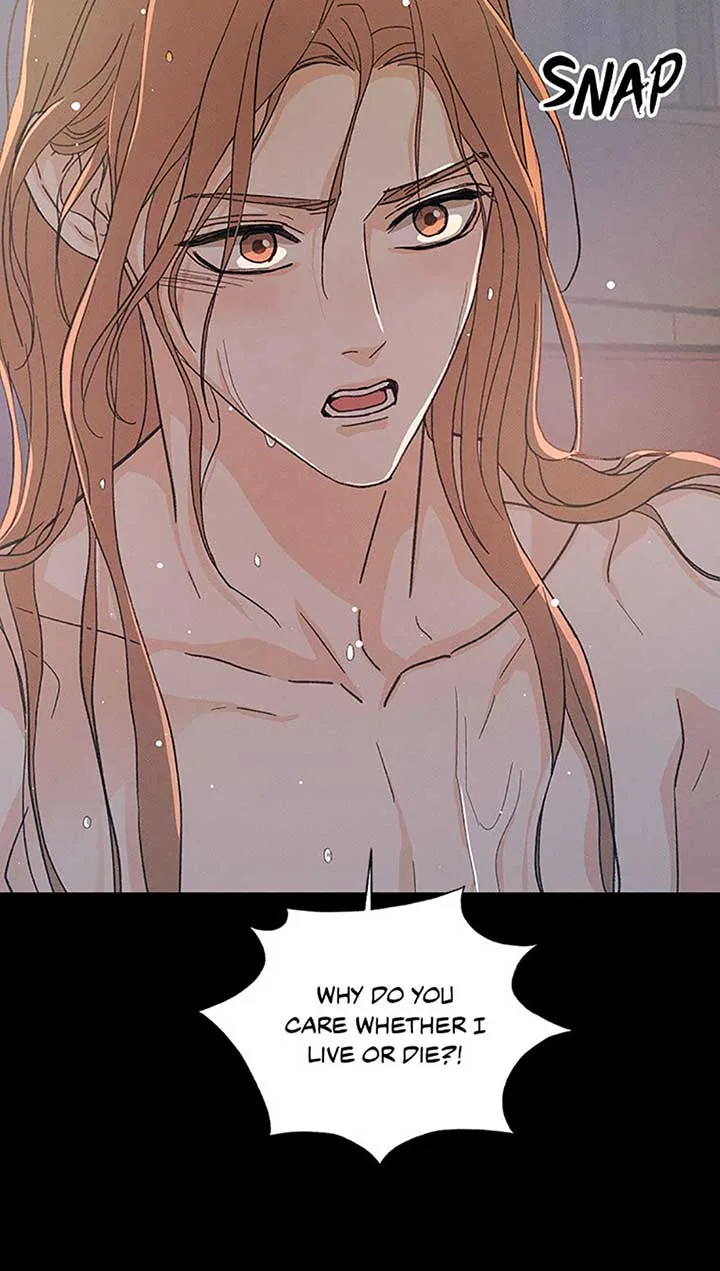 Under the Plum Blossom Tree Chapter 55 page 47