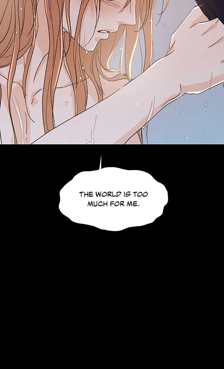 Under the Plum Blossom Tree Chapter 55 page 64