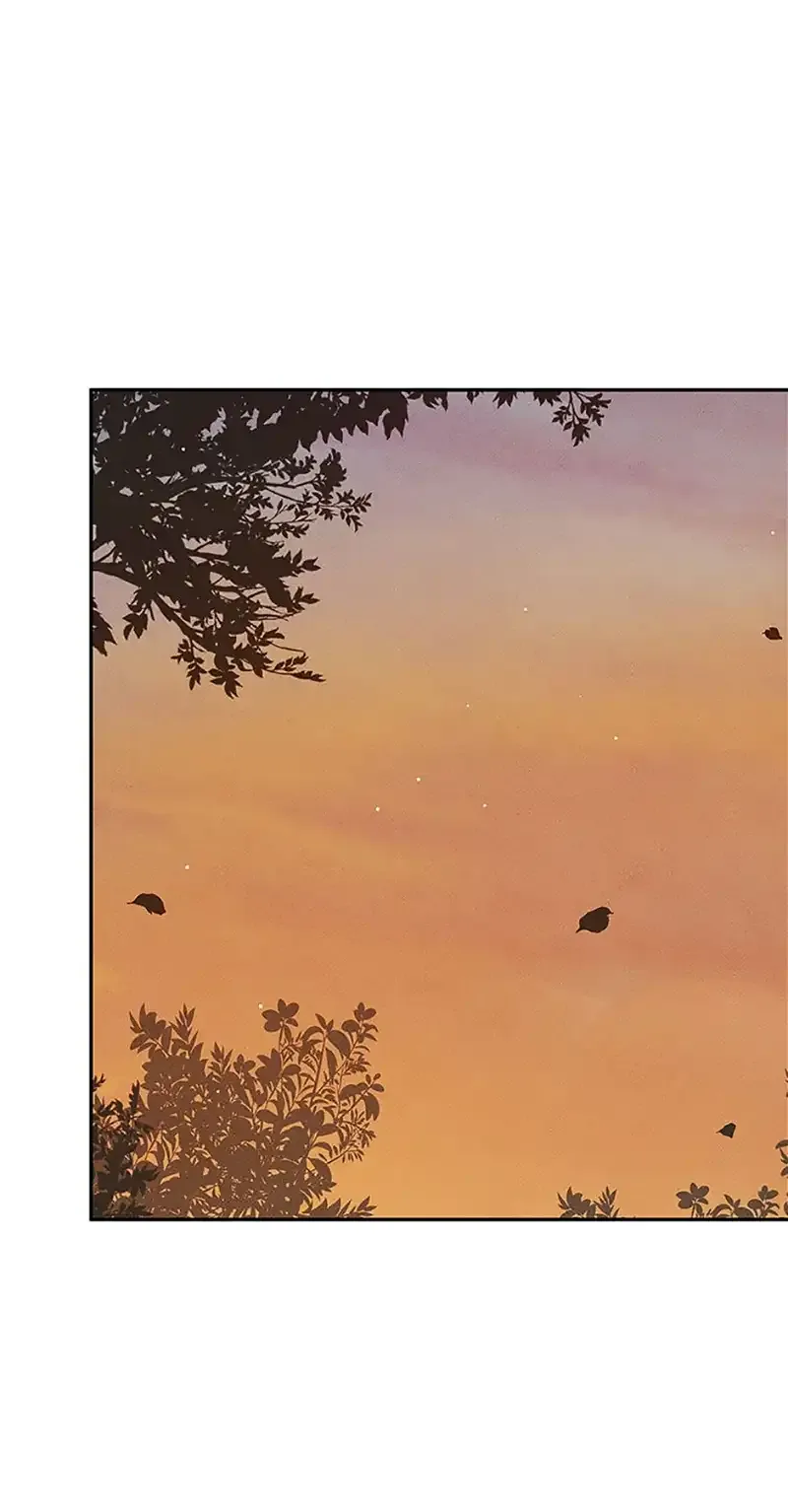 Under the Plum Blossom Tree Chapter 61 page 5