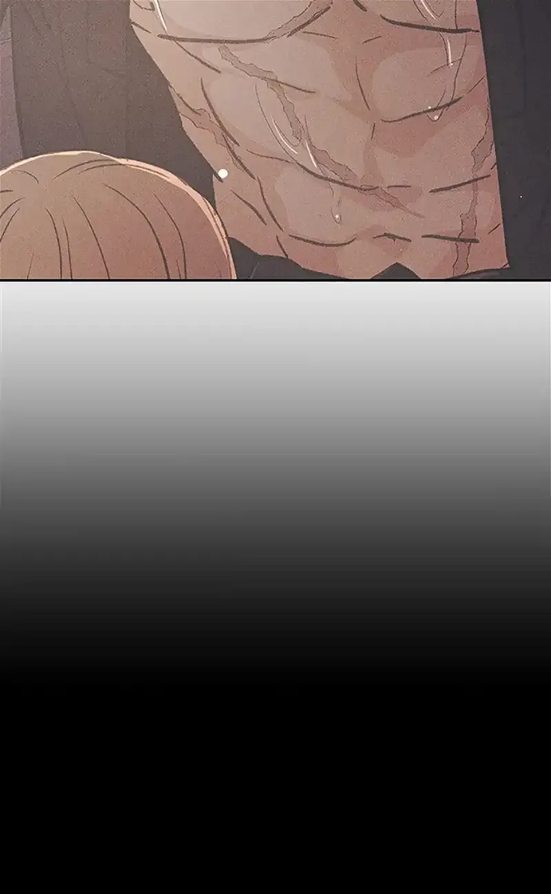 Under the Plum Blossom Tree Chapter 61 page 51
