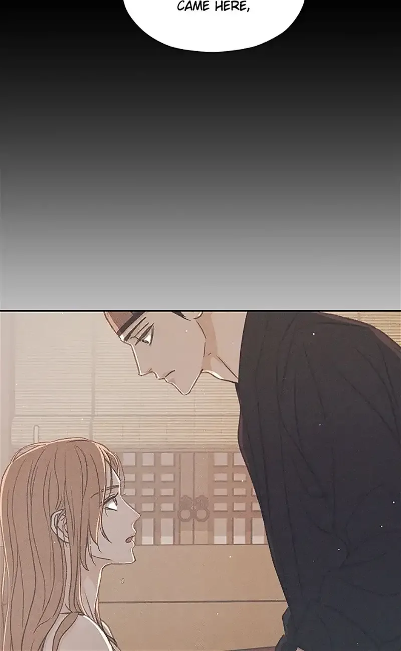 Under the Plum Blossom Tree Chapter 61 page 49