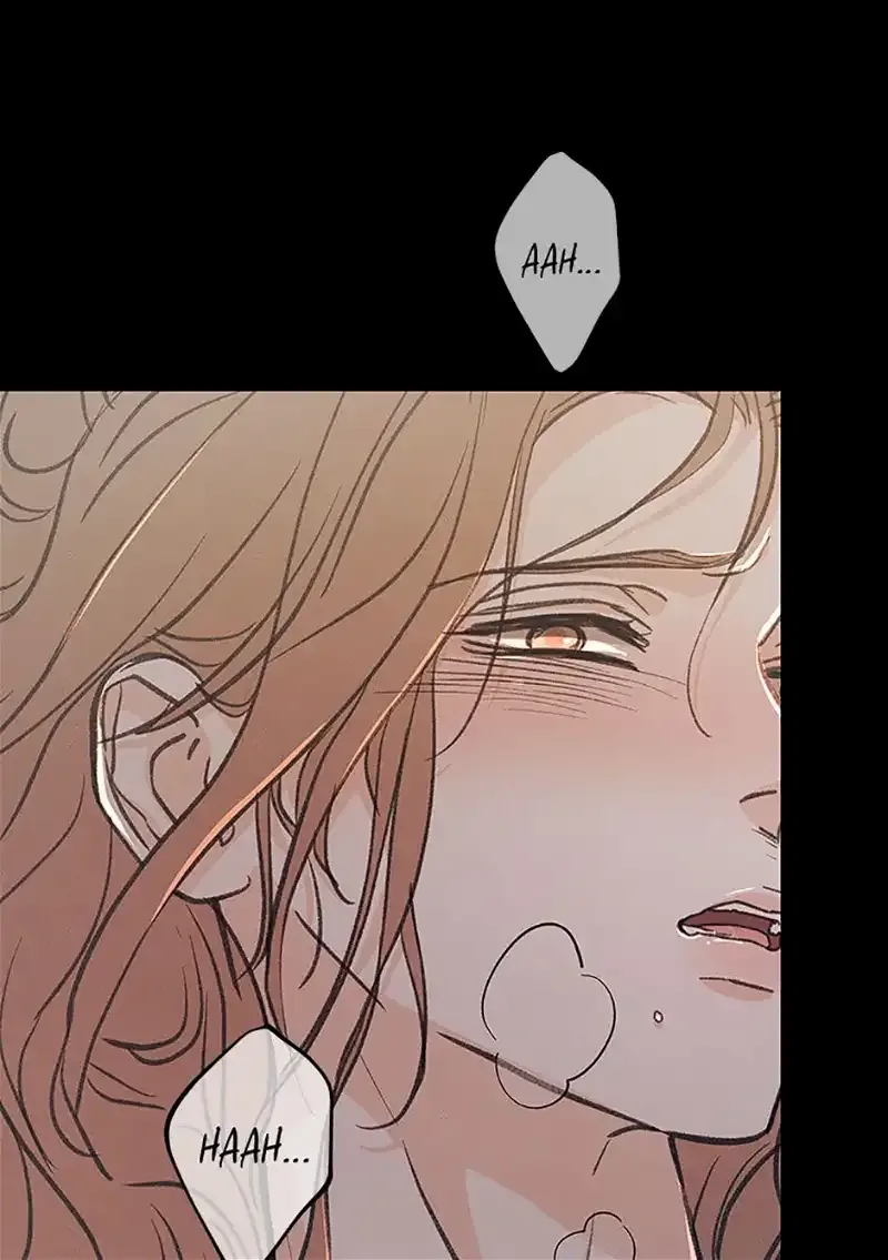 Under the Plum Blossom Tree Chapter 61 page 81