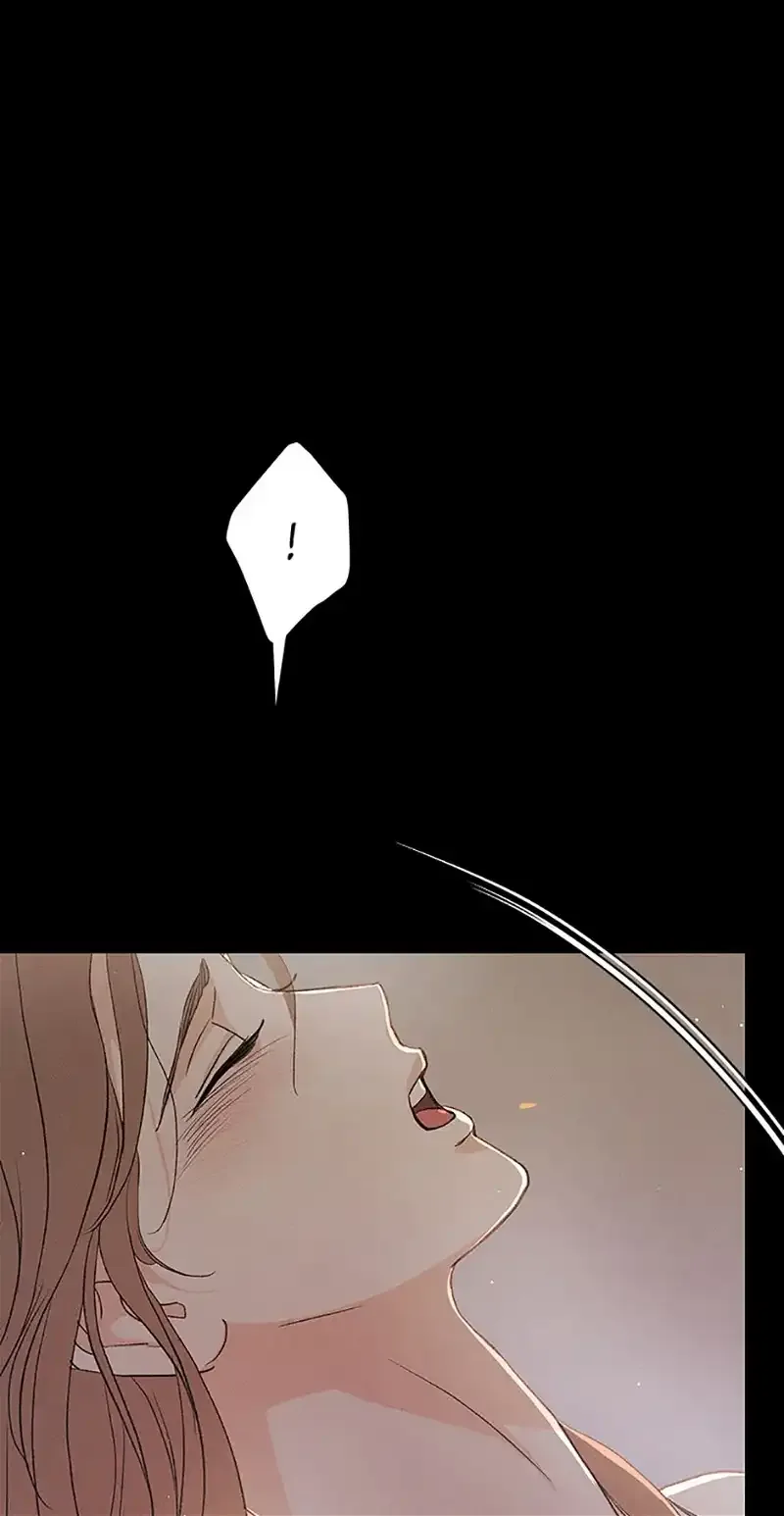 Under the Plum Blossom Tree Chapter 64 page 50