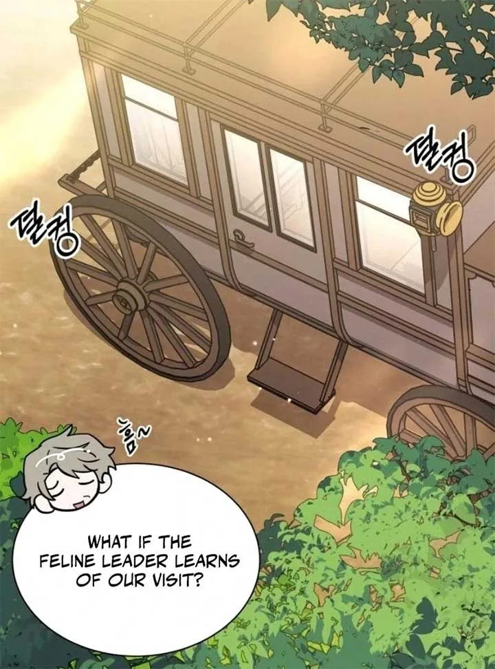 You’re a Cat, But You’ve Been Adopted by a Wolf Family? Chapter 68 page 74
