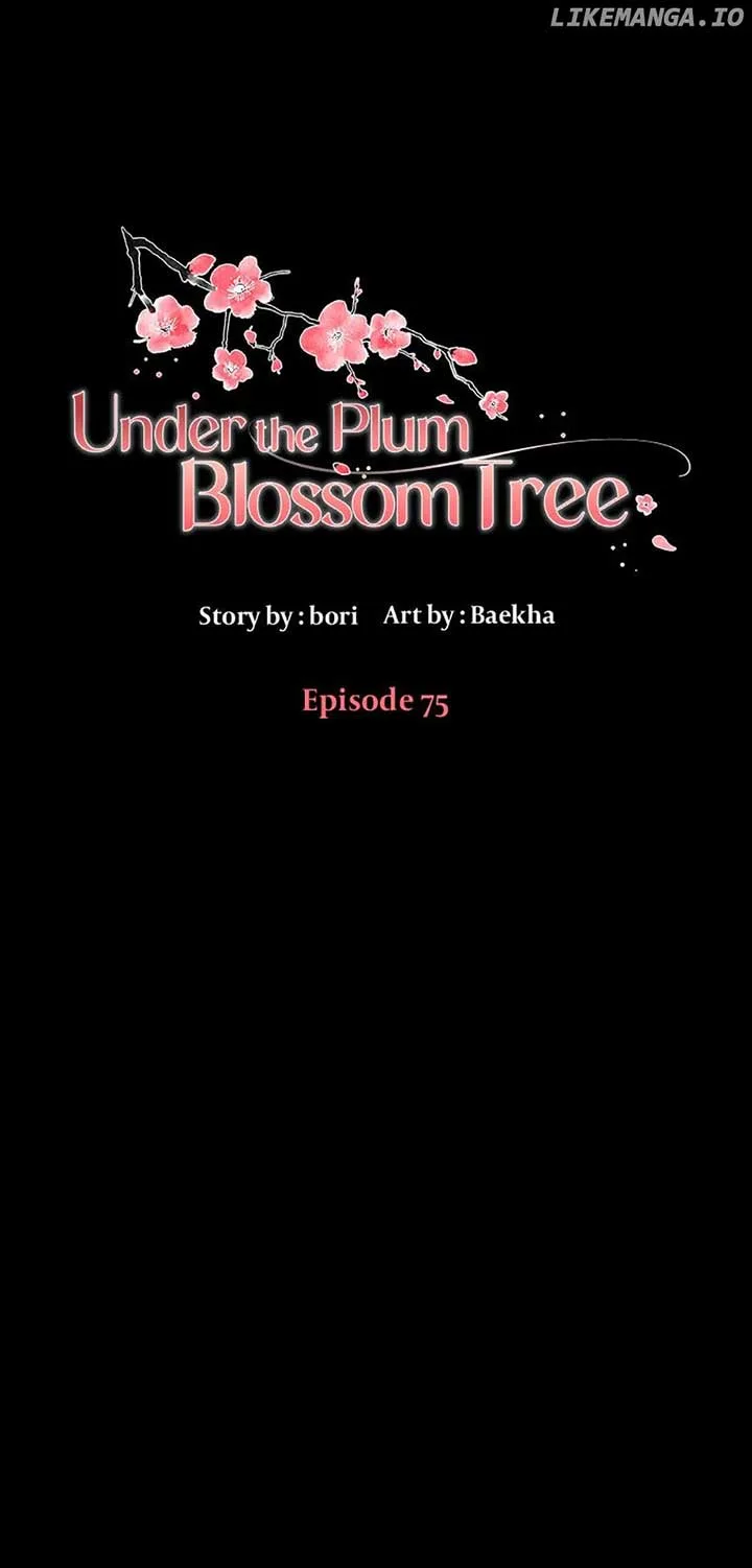 Under the Plum Blossom Tree Chapter 75 page 2