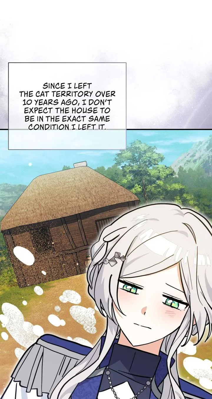 You’re a Cat, But You’ve Been Adopted by a Wolf Family? Chapter 75 page 51