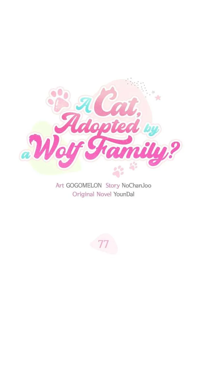 You’re a Cat, But You’ve Been Adopted by a Wolf Family? Chapter 77 page 17
