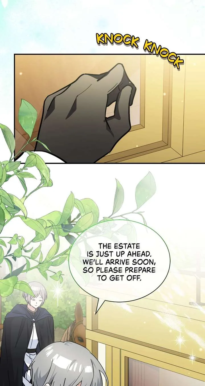 You’re a Cat, But You’ve Been Adopted by a Wolf Family? Chapter 77 page 40