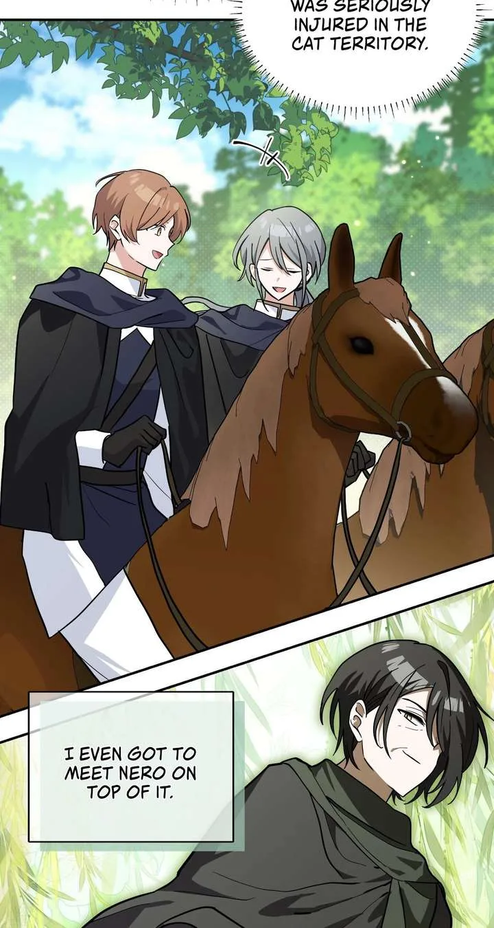You’re a Cat, But You’ve Been Adopted by a Wolf Family? Chapter 77 page 38