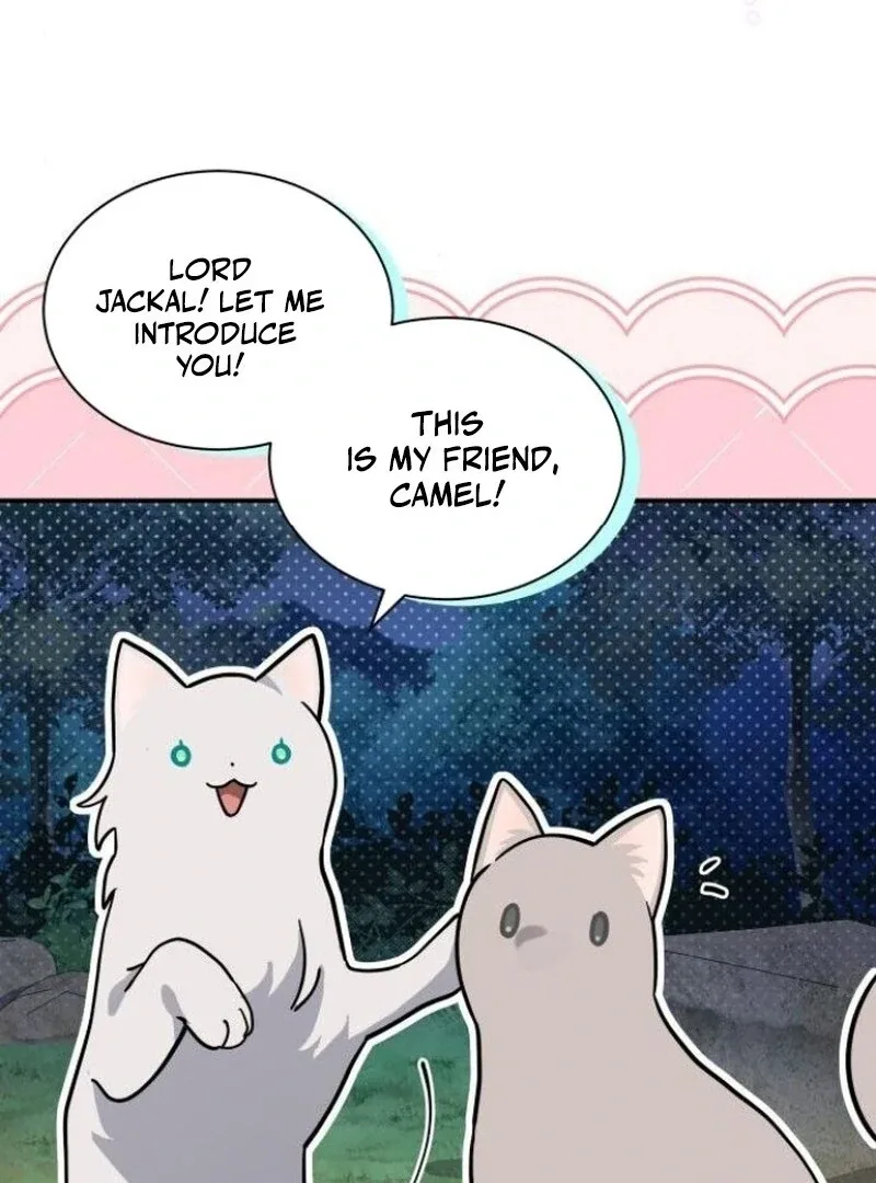 You’re a Cat, But You’ve Been Adopted by a Wolf Family? Chapter 72 page 38