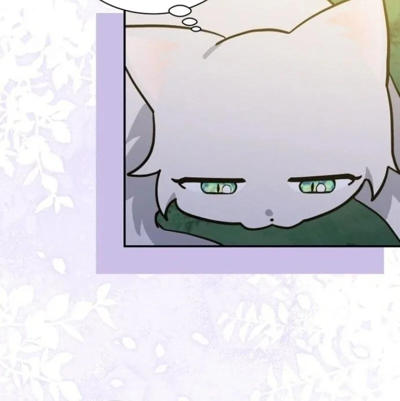 You’re a Cat, But You’ve Been Adopted by a Wolf Family? Chapter 72 page 34