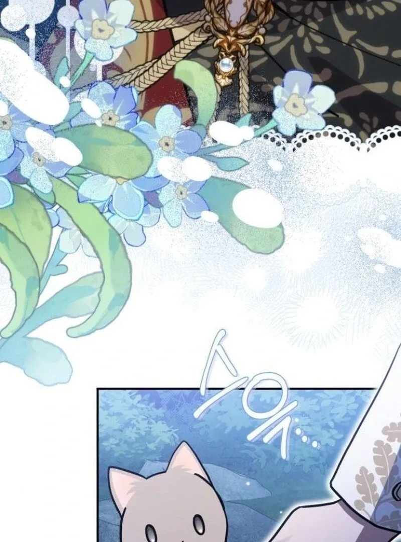 You’re a Cat, But You’ve Been Adopted by a Wolf Family? Chapter 72 page 47