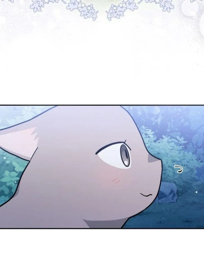 You’re a Cat, But You’ve Been Adopted by a Wolf Family? Chapter 72 page 50