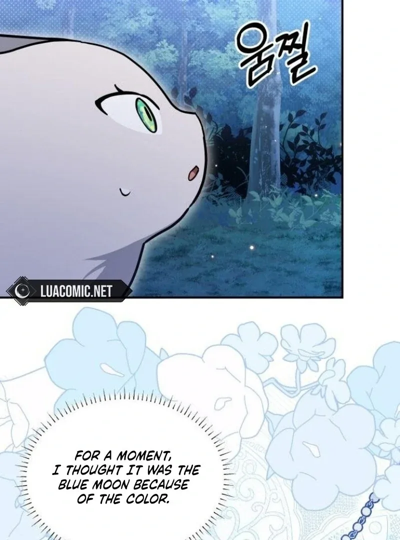 You’re a Cat, But You’ve Been Adopted by a Wolf Family? Chapter 72 page 70