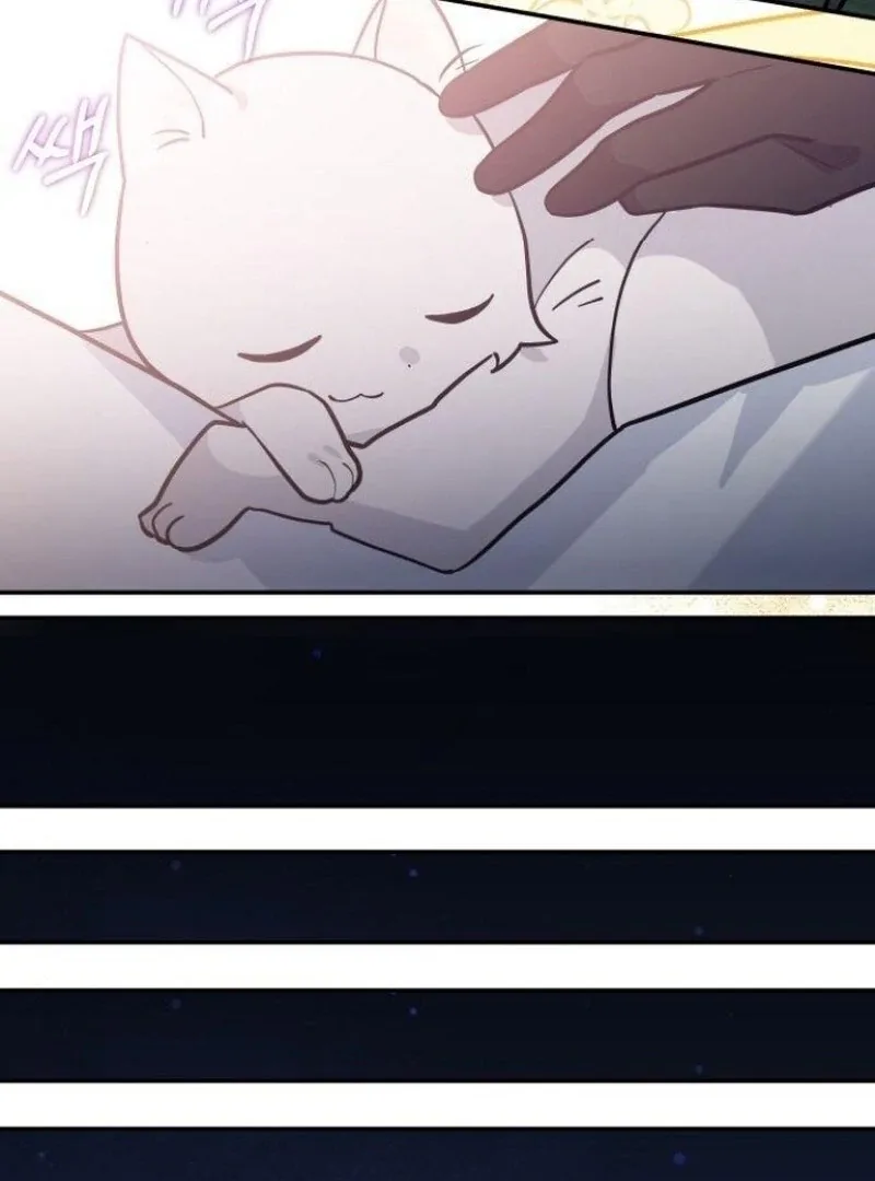 You’re a Cat, But You’ve Been Adopted by a Wolf Family? Chapter 73 page 72
