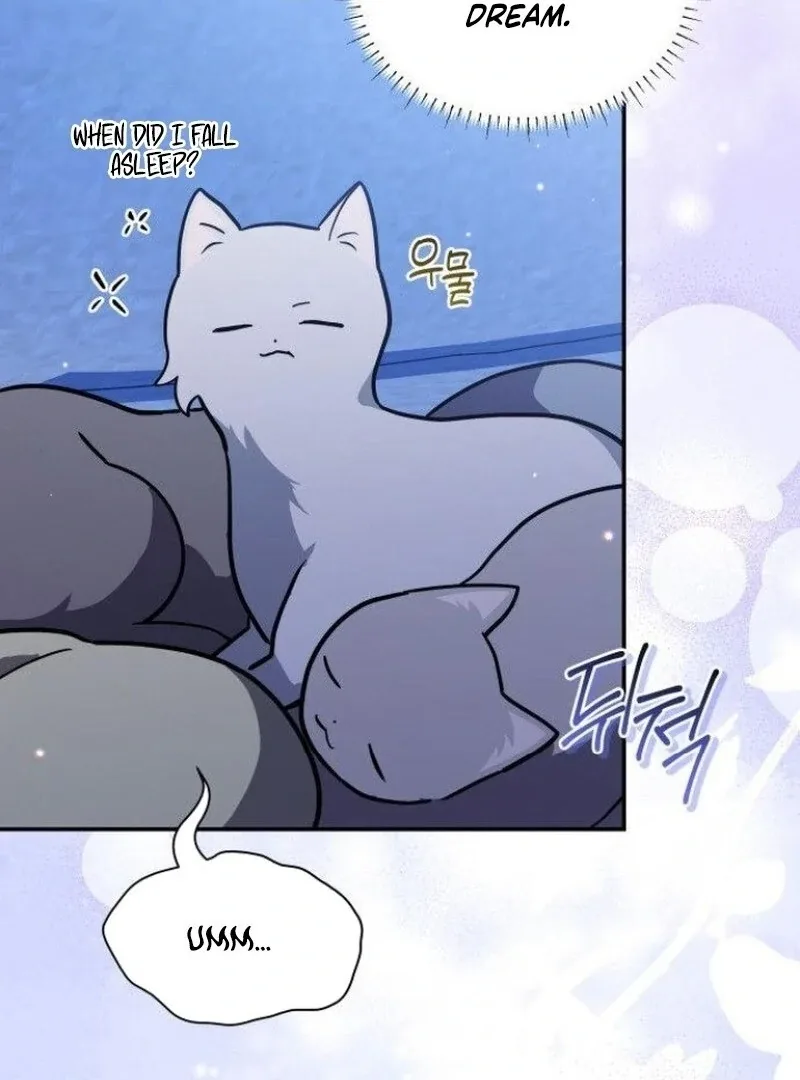 You’re a Cat, But You’ve Been Adopted by a Wolf Family? Chapter 73 page 81