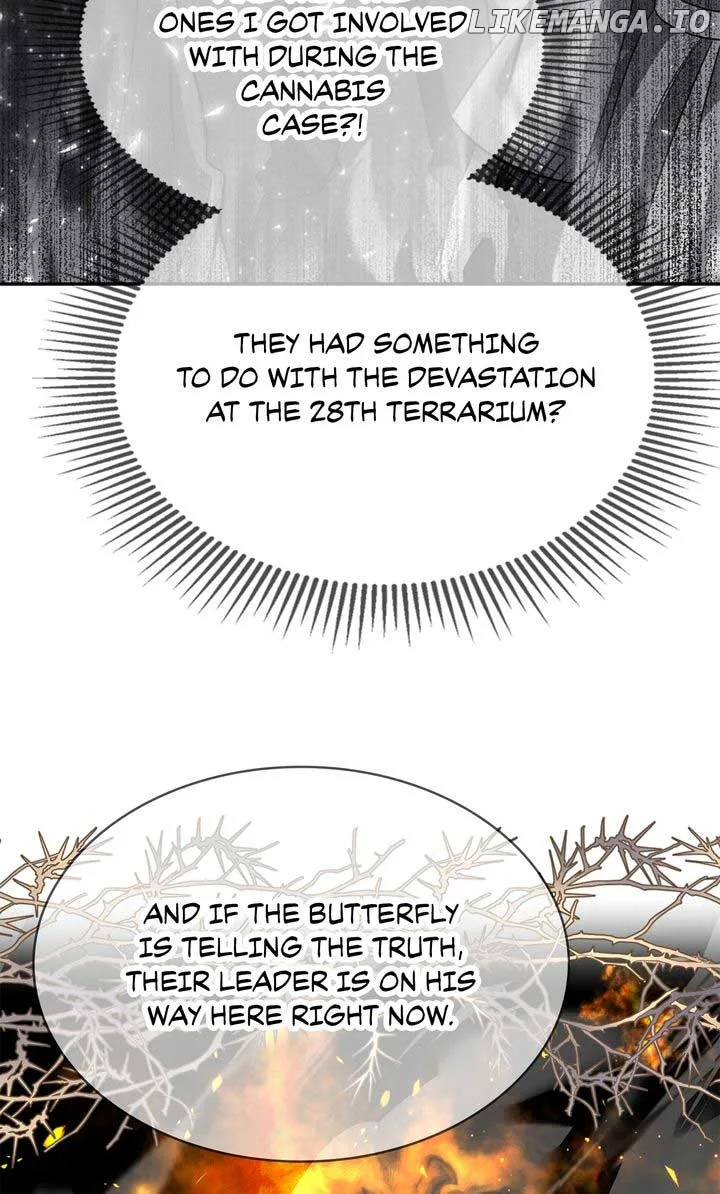 Terrarium Adventure Chapter 74 page 3