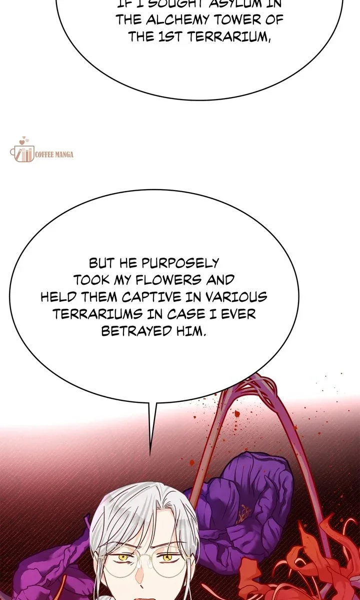 Terrarium Adventure Chapter 75 page 12