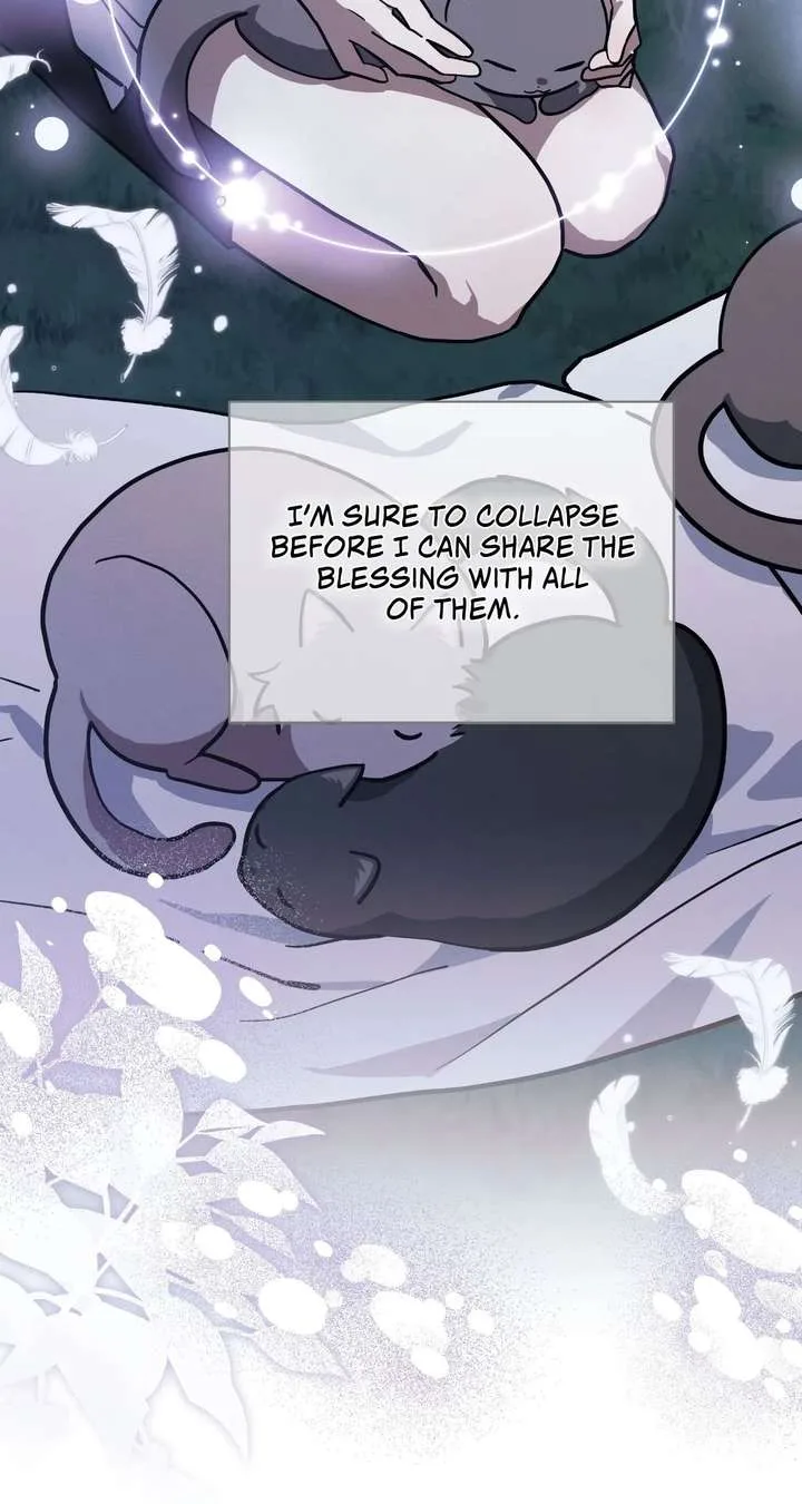 You’re a Cat, But You’ve Been Adopted by a Wolf Family? Chapter 79 page 85
