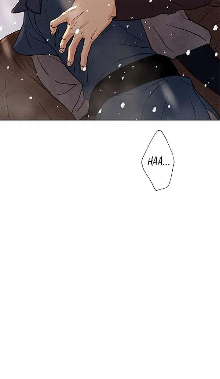 Under the Plum Blossom Tree Chapter 80 page 97