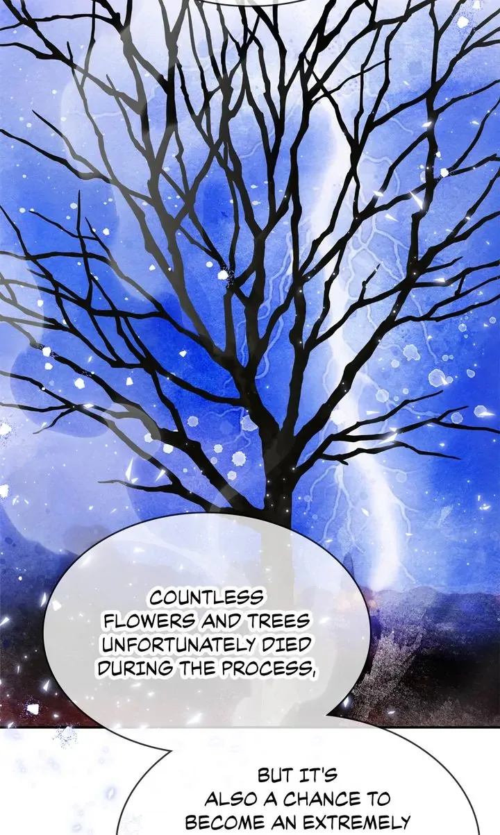 Terrarium Adventure Chapter 78 page 91