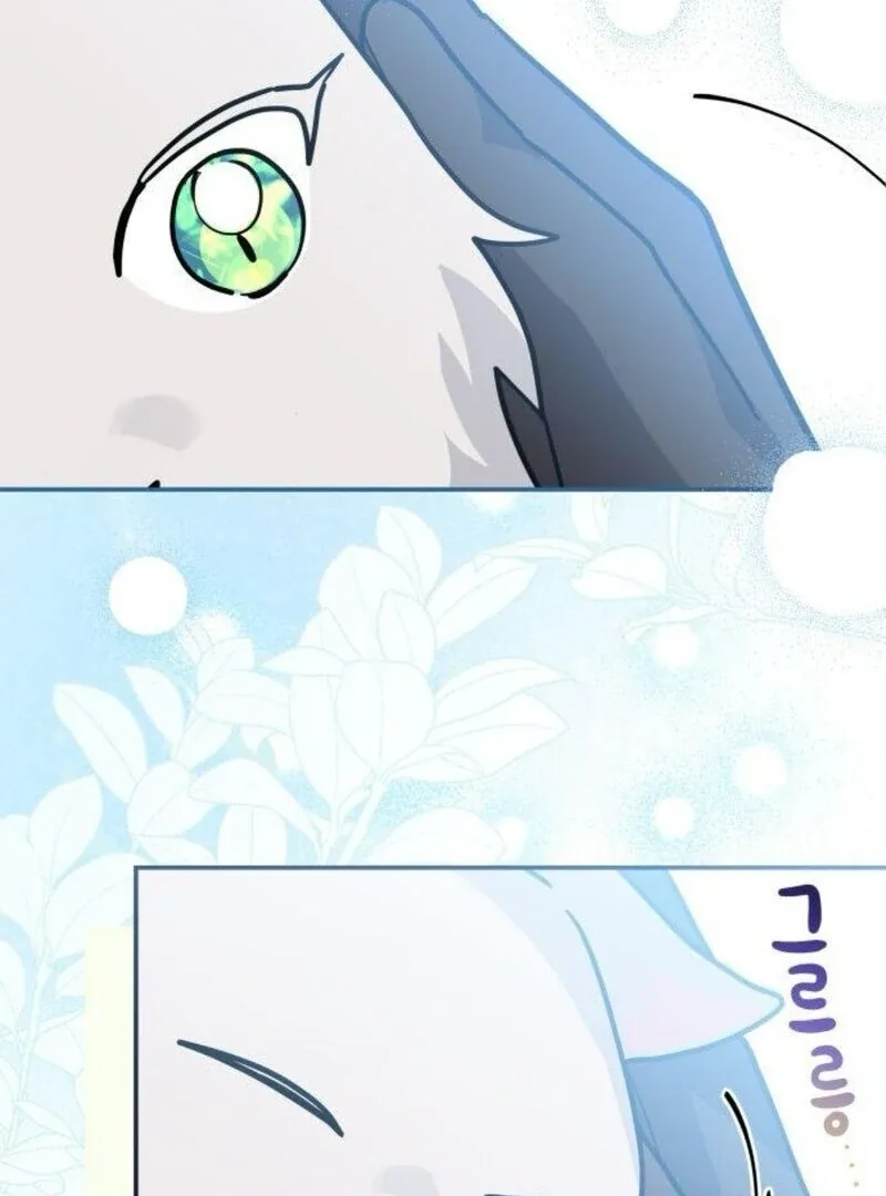 You’re a Cat, But You’ve Been Adopted by a Wolf Family? Chapter 71 page 111