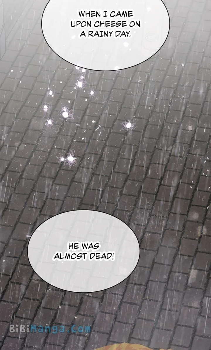 Terrarium Adventure Chapter 71 page 28