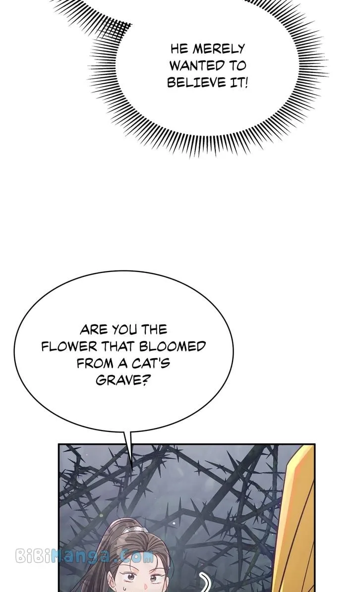 Terrarium Adventure Chapter 71 page 38