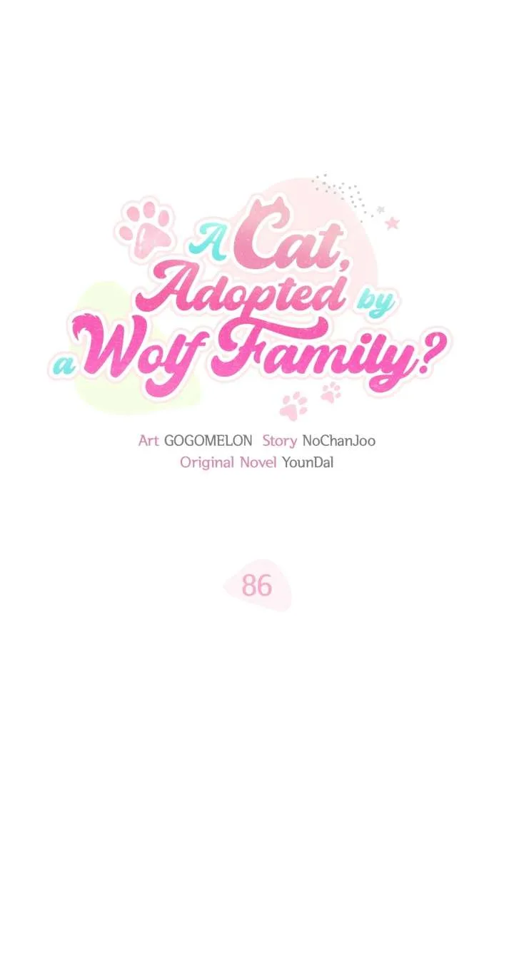 You’re a Cat, But You’ve Been Adopted by a Wolf Family? Chapter 86 page 2