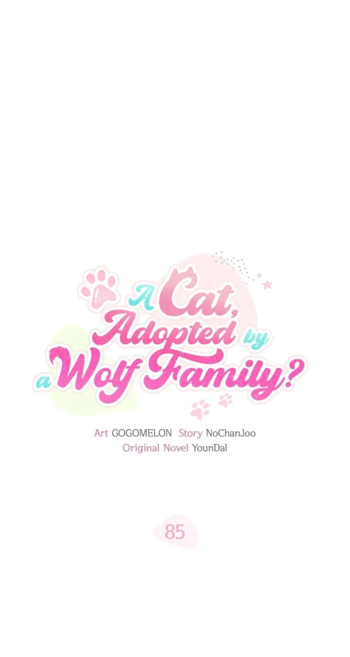 You’re a Cat, But You’ve Been Adopted by a Wolf Family? Chapter 85 page 50