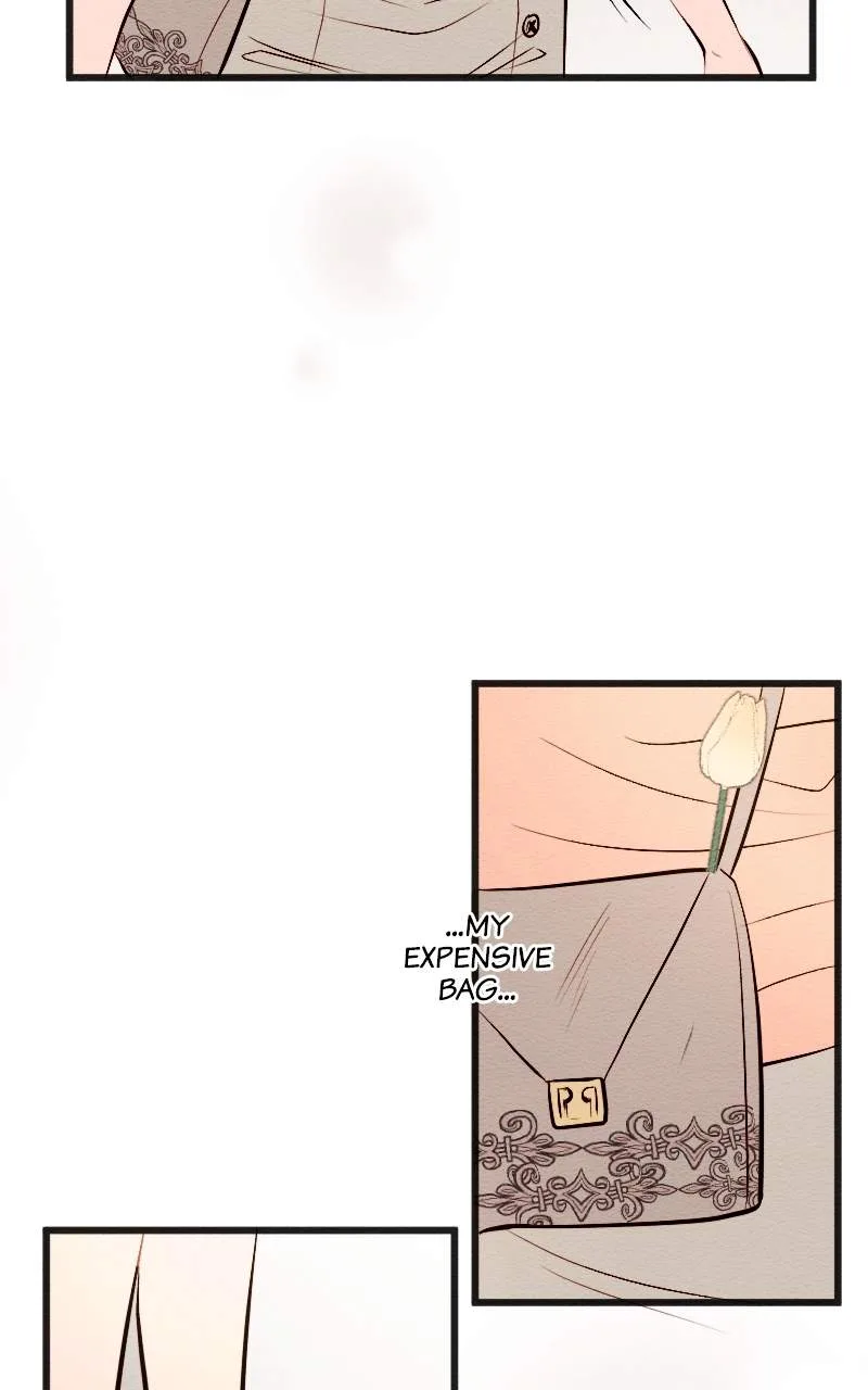 Mistaken for a Wicked Woman! Chapter 202 page 14