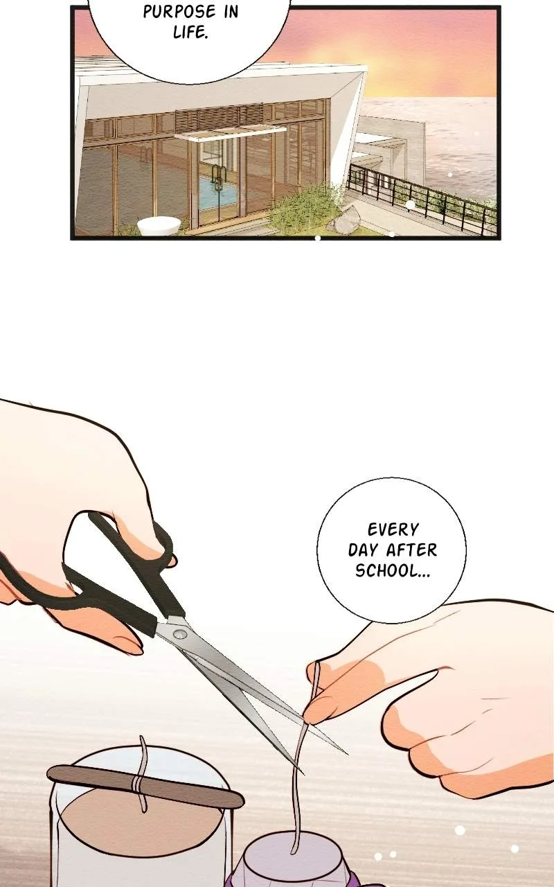 Mistaken for a Wicked Woman! Chapter 214 page 17