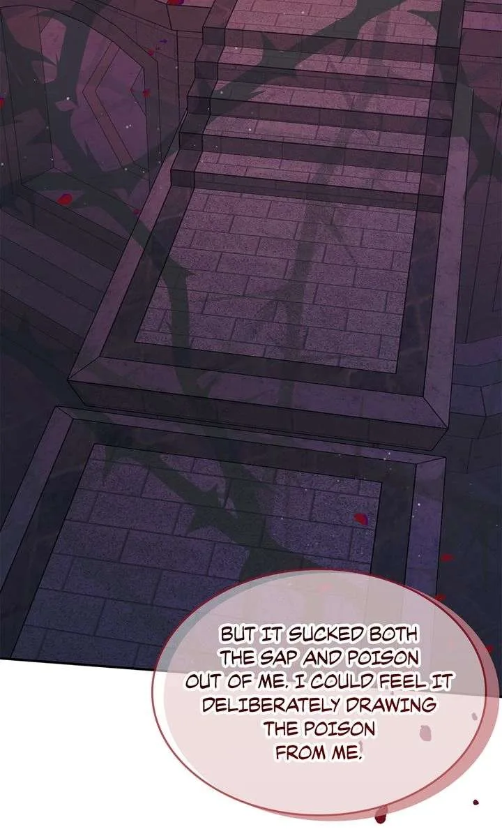 Terrarium Adventure Chapter 104 page 35