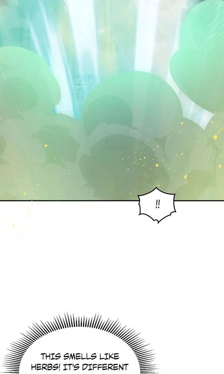 Terrarium Adventure Chapter 104 page 64