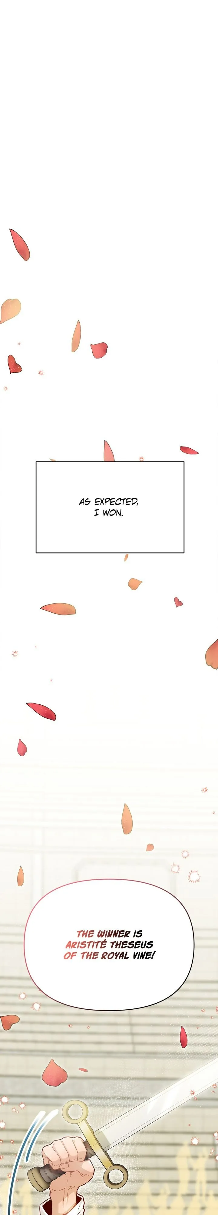 Aristité was Blessed with a Curse Chapter 9 page 17