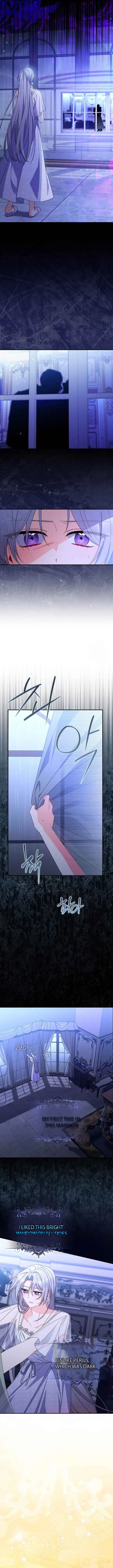 As My Husband Said, I Brought in A Lover Chapter 20 page 9