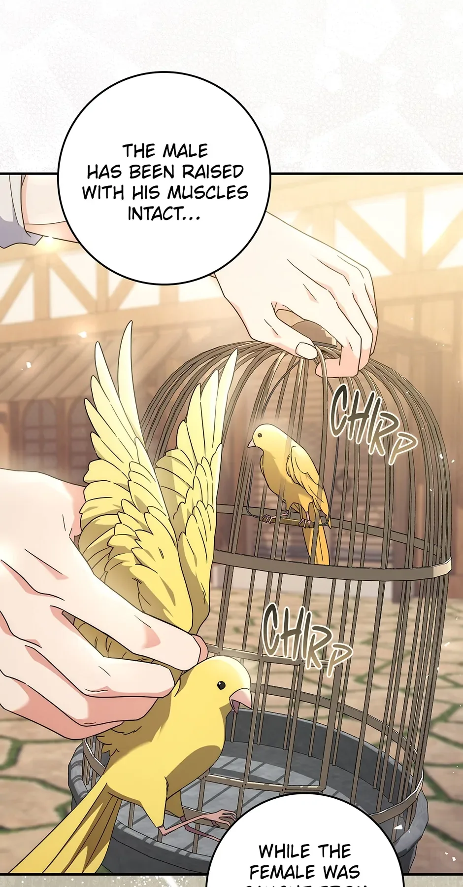 As My Husband Said, I Brought in A Lover Chapter 36 page 32
