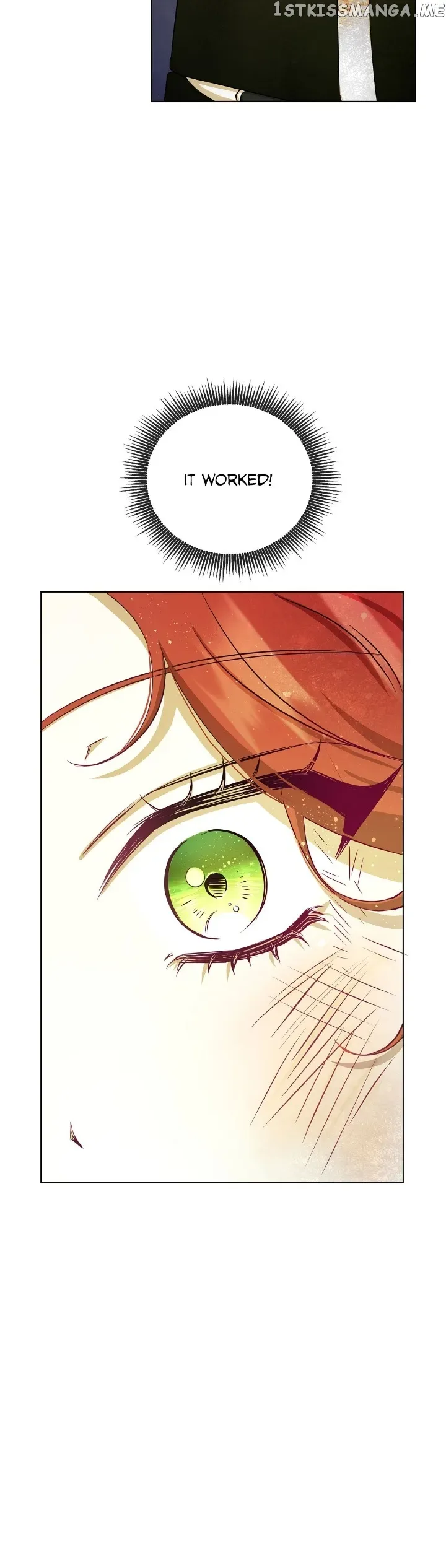 Author, In This Life I’m The Protagonist Chapter 4 page 29