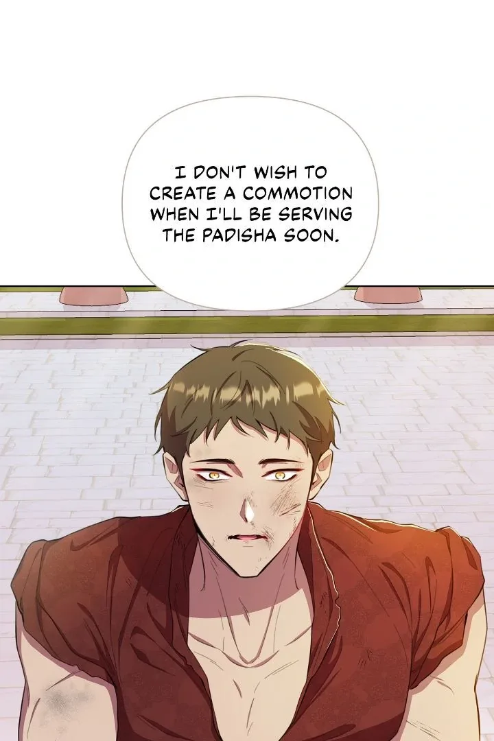 Author, In This Life I’m The Protagonist Chapter 41 page 11