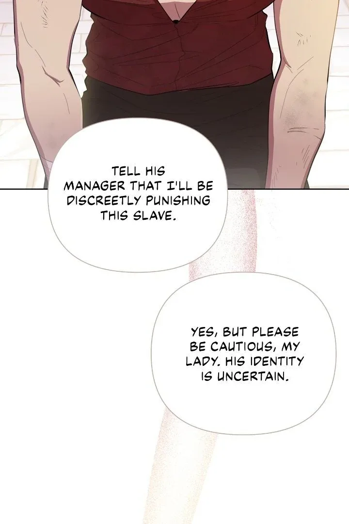 Author, In This Life I’m The Protagonist Chapter 41 page 12