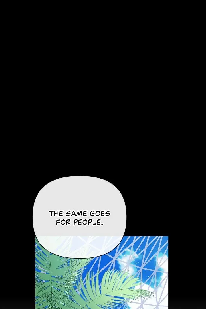 Author, In This Life I’m The Protagonist Chapter 44 page 47