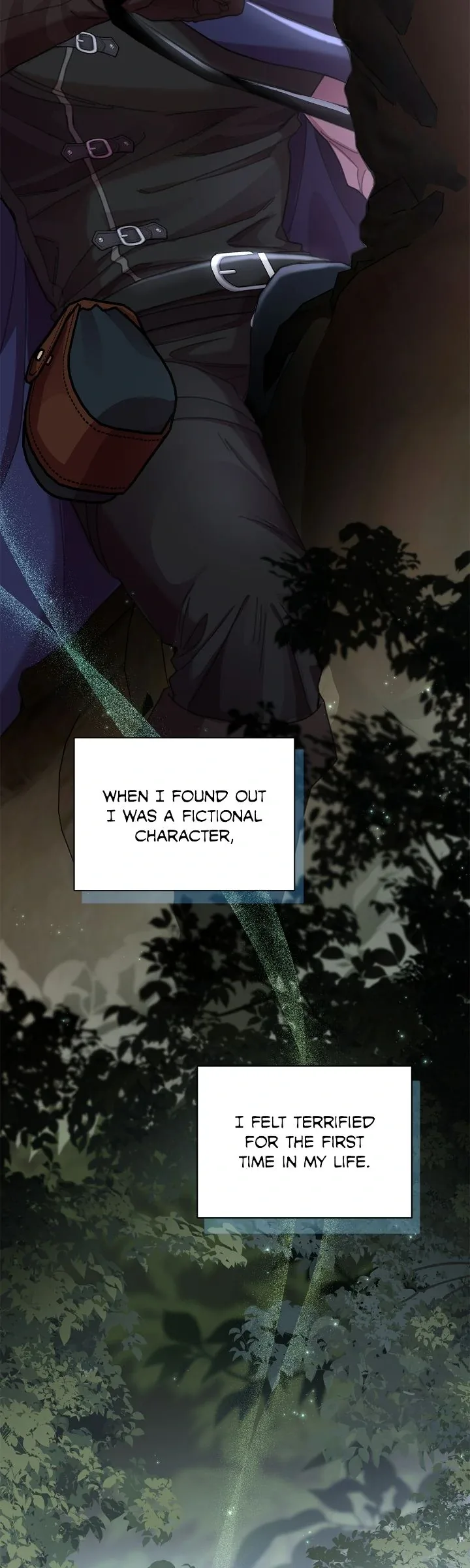 Author, In This Life I’m The Protagonist Chapter 67 page 38