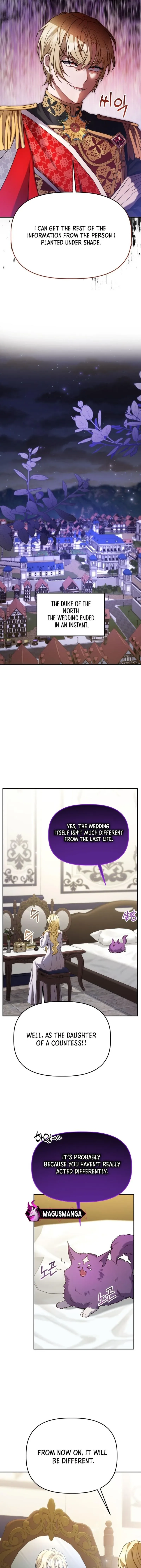 Azelda: The Spirit Master’s Contract Marriage Chapter 14 page 10