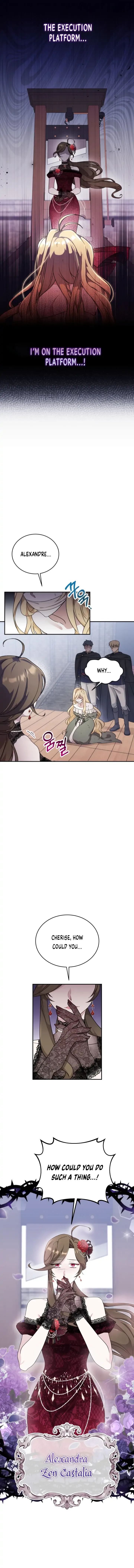 Baby Pharmacist Princess Chapter 1 page 3