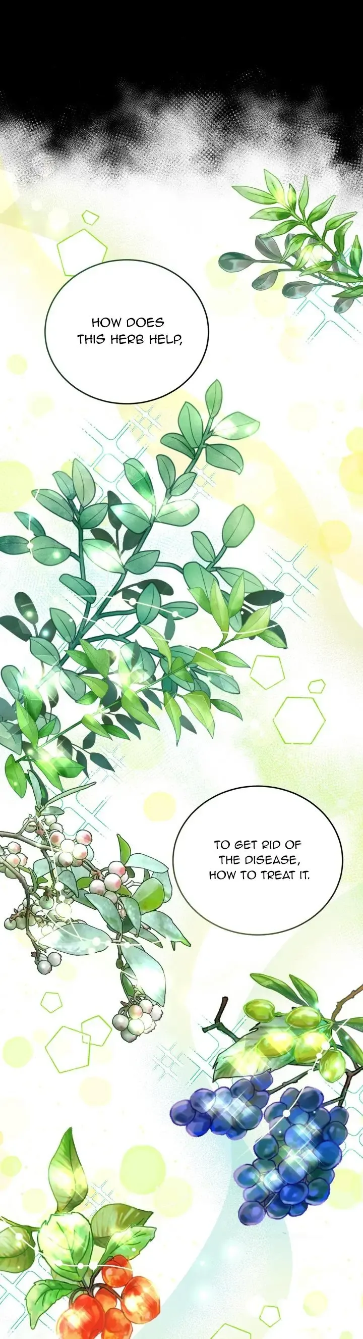 Baby Pharmacist Princess Chapter 6 page 10