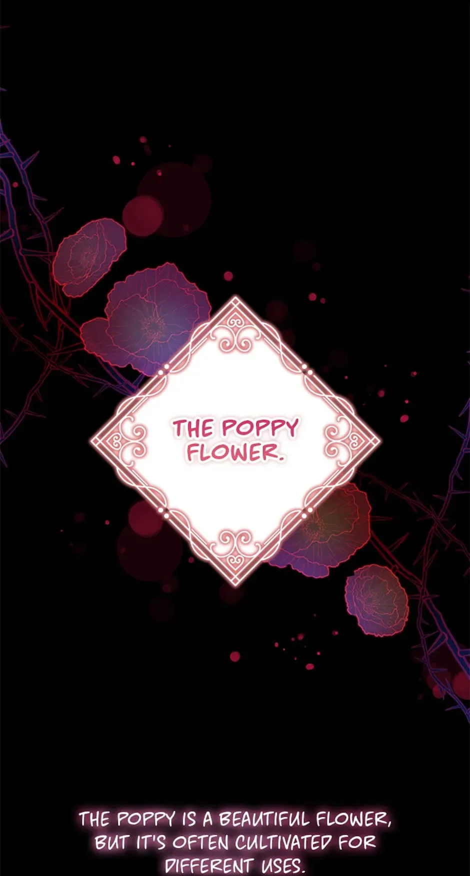 Baby Pharmacist Princess Chapter 20 page 67