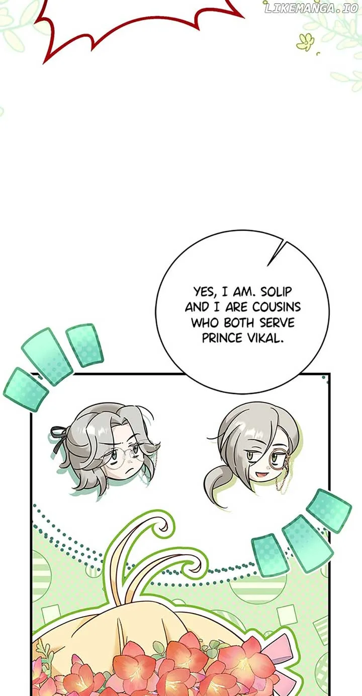 Baby Pharmacist Princess Chapter 37 page 31