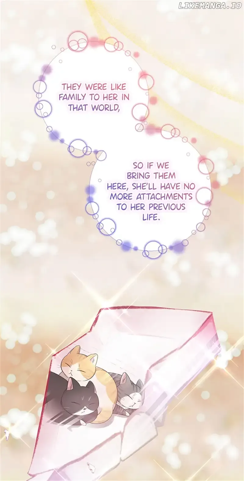 Baby Pharmacist Princess Chapter 48 page 21