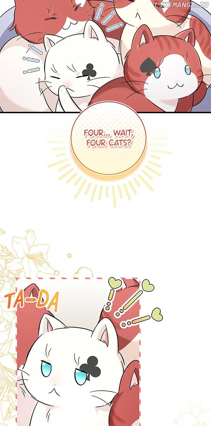 Baby Pharmacist Princess Chapter 45 page 63