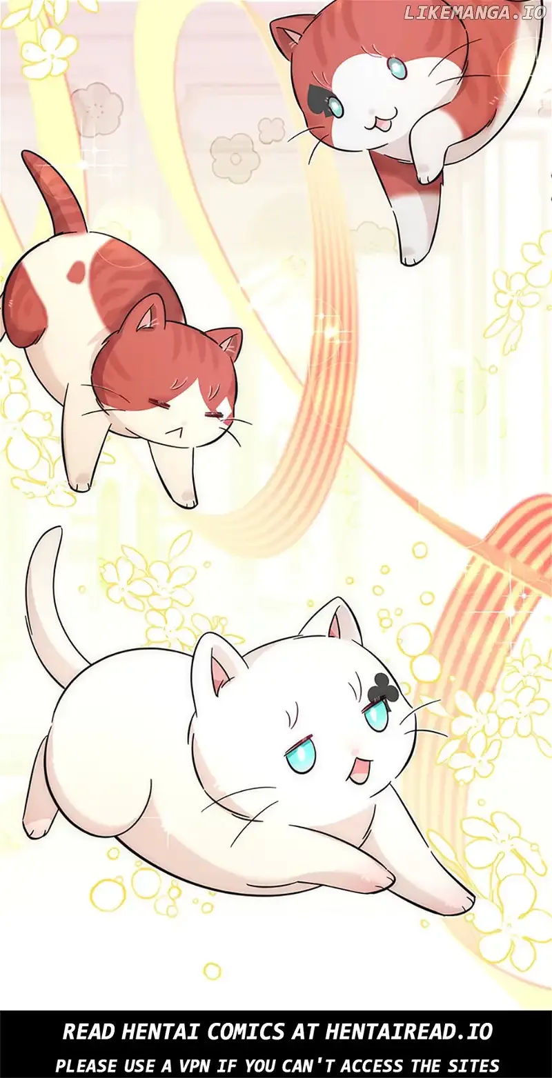 Baby Pharmacist Princess Chapter 47 page 72